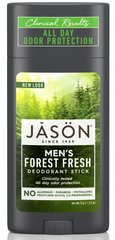 Твердий дезодорант стик Лісова Свіжість для чоловіків, Jason Natural Cosmetics