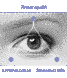 Сироватка для шкіри навколо очей RE: GENE, 15 мл, Madara