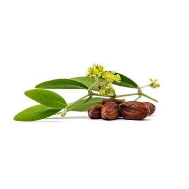 Лечебное детское масло из цветков календулы Calendula Oil. Защита и уход за очень сухой, раздраженной кожей, 50 мл, BABY TEVA