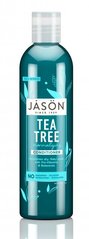 Кондиціонер для жирного волосся з олією чайного дерева, 227 г, Jason Natural Cosmetics