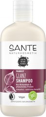 БИО-Шампунь для блеска волос Растительные протеины и Березовые листья (для всей семьи), 250 мл, Sante