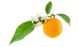 Скраб для лица Цветы Апельсина Orange Blossom Exfoliator, 50мл, Green People